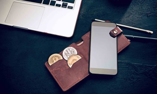 Hot Wallets e Cold Wallets guia prático para entender e escolher a melhor opção